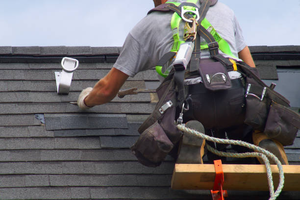 Best Roof Gutter Cleaning  in Breckenridge Hills, MO